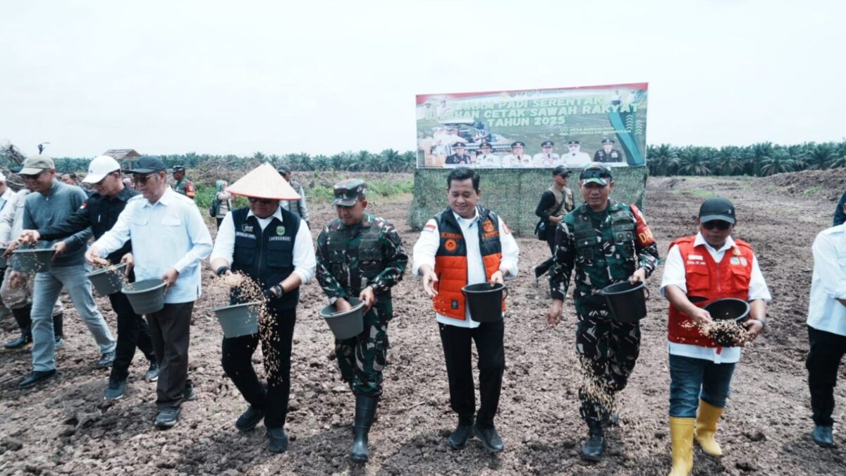“Tanam Padi Serentak di Banyuasin, Herman Deru Puji Lompatan Produksi Pangan”