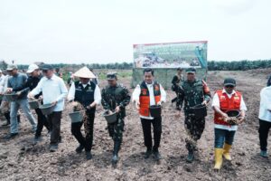 “Tanam Padi Serentak di Banyuasin, Herman Deru Puji Lompatan Produksi Pangan”