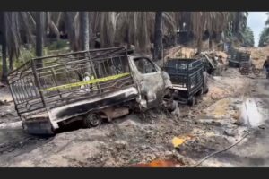 Sumsel Bersih Soroti Kebakaran di Areal HGU PT Hindoli, Desak Penegakan Hukum dan Evaluasi Pengawasan