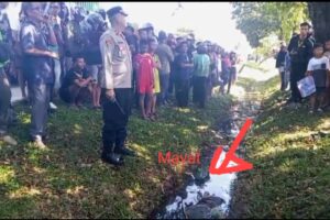 Penemuan Mayat Perempuan di Bukit Baru Palembang, Polisi Lakukan Penyelidikan