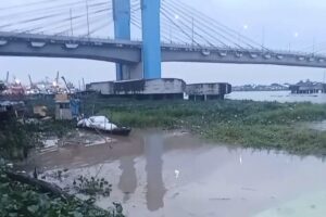 Eceng Gondok Mengepung Sungai Musi, Jembatan Musi IV Berpotensi Tersumbat Sampah