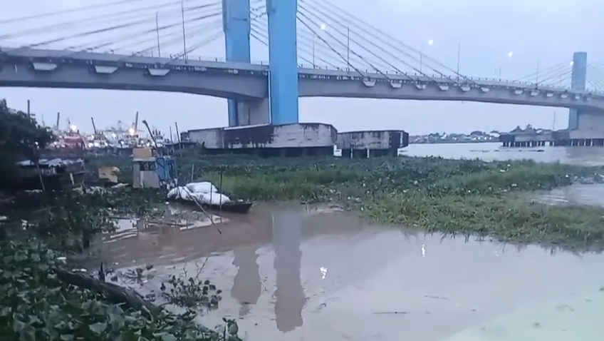 Eceng Gondok Mengepung Sungai Musi, Jembatan Musi IV Berpotensi Tersumbat Sampah