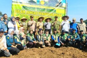 Tanam Jagung Hibrida, Pemkab Lahat Dorong Ketahanan Pangan dan Pengendalian Inflasi