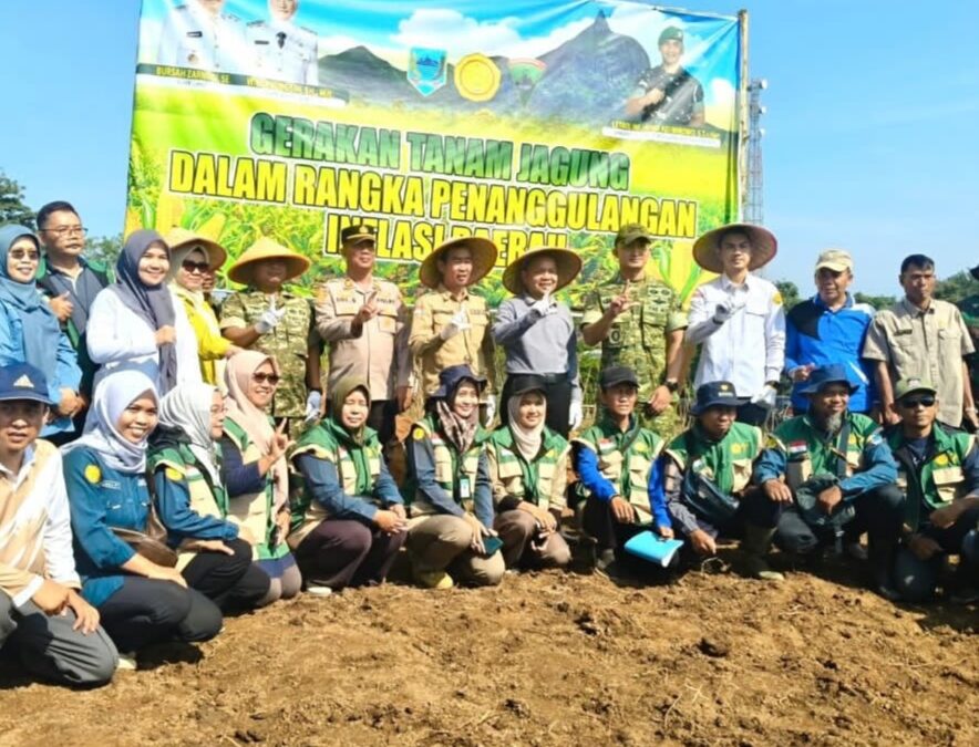 Tanam Jagung Hibrida, Pemkab Lahat Dorong Ketahanan Pangan dan Pengendalian Inflasi