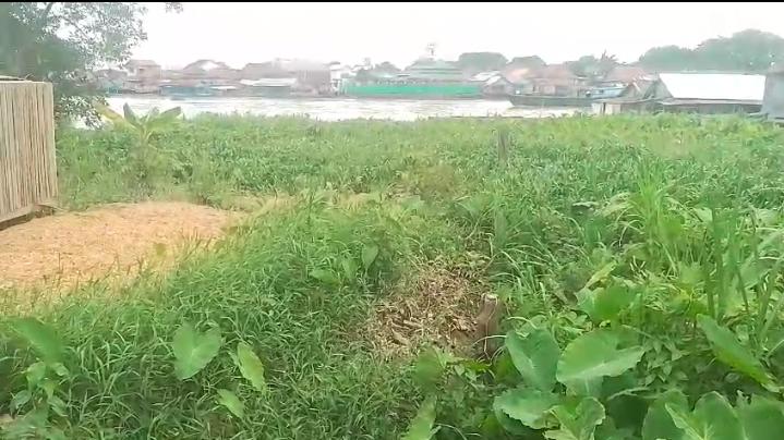Aliran Sungai Tuan Kentang Lorong Bersama Dipenuhi Eceng Gondok