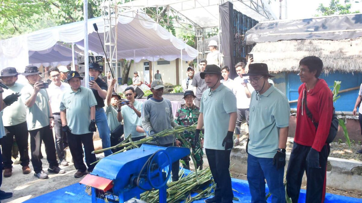 Pengembangan Sorgum sebagai Biomassa, Wabup Sukabumi Sebut Terobosan Penting Dukung Energi Berkelanjutan