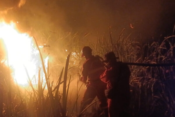 Dua Titik Karhutla di Ogan Ilir Berhasil Dipadamkan, 15 Hektare Lahan Terbakar