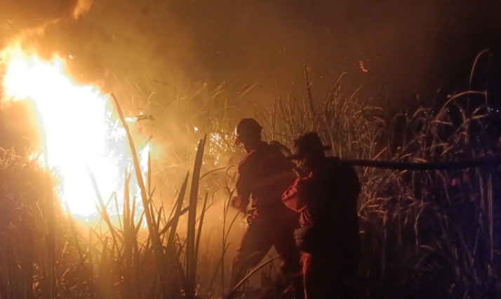 Dua Titik Karhutla di Ogan Ilir Berhasil Dipadamkan, 15 Hektare Lahan Terbakar