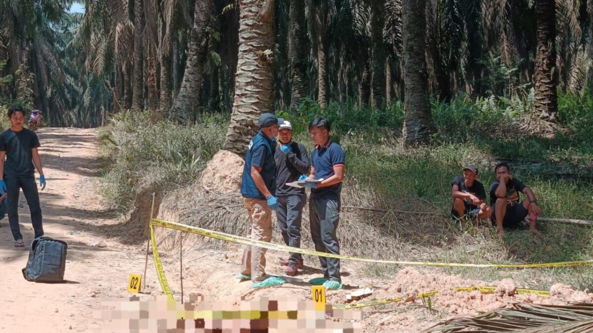 Polres Muba Dalami Kasus Penemuan Jenazah Pria di Kebun Sawit PT Hindoli