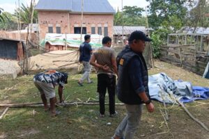 Kapolres OKI: Jangan Beri Ruang Judi, Arena Sabung Ayam di Pedamaran Timur Dibongkar