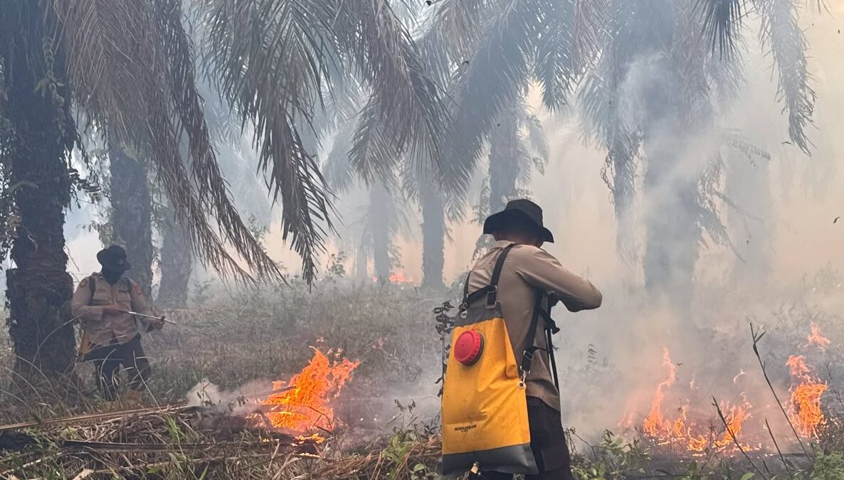 Titik Api Muncul di Sekitar Wilayah PT PAR OKI, Polisi Lakukan Padamkan