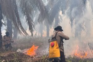 Titik Api Muncul di Sekitar Wilayah PT PAR OKI, Polisi Lakukan Padamkan