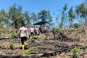 Karhutla Mengintai Muba, Polda Sumsel Sisir Lahan Rawan di Bayung Lencir dan Sungai Keruh