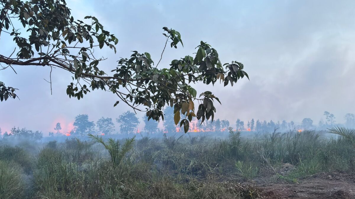 Karhutla 9 Hektare di Areal PT MBJ OKI Ditangani Tim Gabungan
