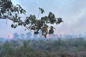 Karhutla 9 Hektare di Areal PT MBJ OKI Ditangani Tim Gabungan