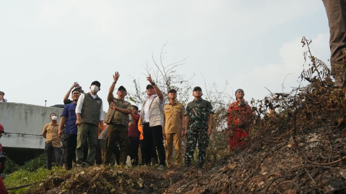 Menhut dan BNPB Tinjau Karhutla di OKI, 11 Fire Spot Terdeteksi di Sumsel