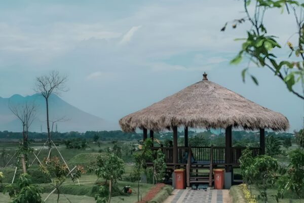 Aset Rp124 Miliar di Lakarsantri Kembali ke Pemkot Surabaya, Luasnya Hampir 10 Hektare