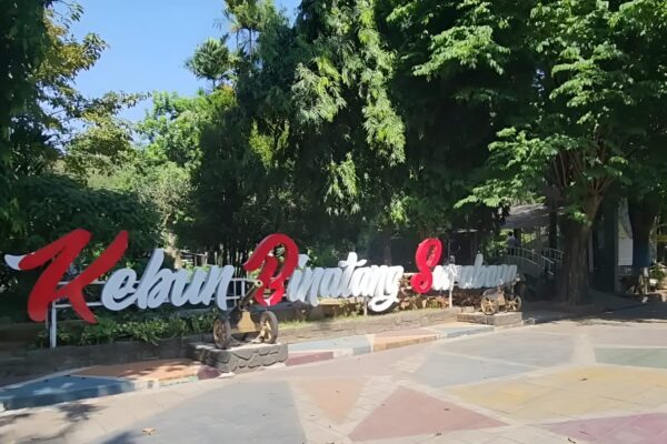 Seleksi Direksi Lima BUMD Surabaya Diperpanjang, 10 Posisi Dibuka