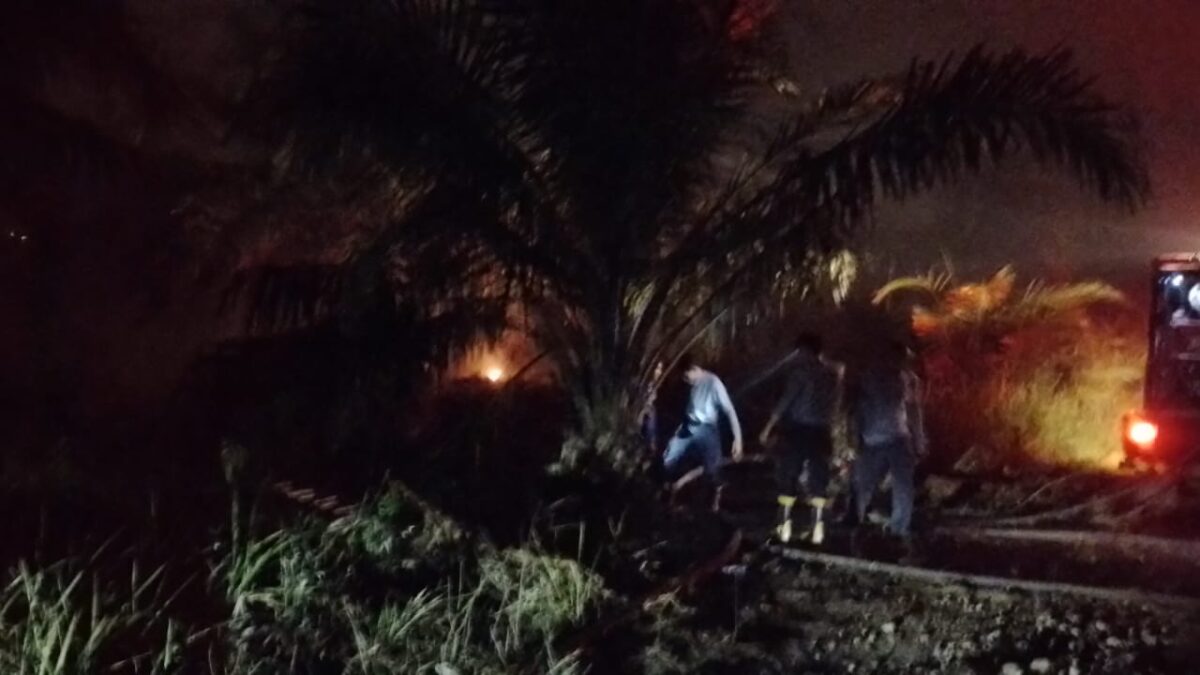 Kebakaran Lahan Sawit di Talang Jambe, Dua Mobil Damkar Dikerahkan