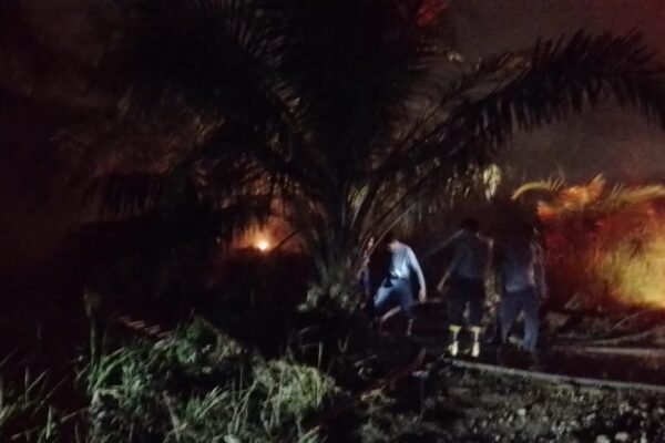Kebakaran Lahan Sawit di Talang Jambe, Dua Mobil Damkar Dikerahkan