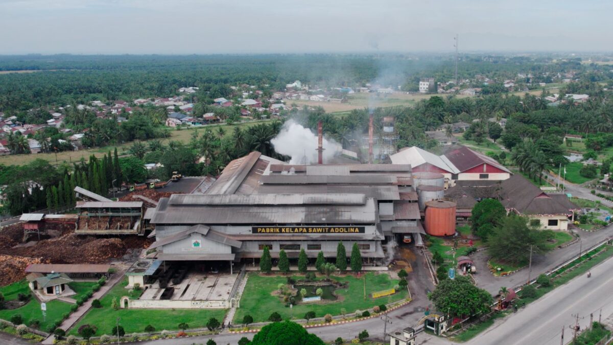 PTPN IV PalmCo Percepat Sertifikasi, 191 Unit Sudah Terapkan Sistem Manajemen K3