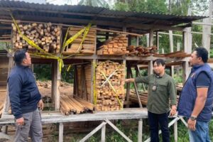 Kemenhut Serahkan Berkas Tersangka Peredaran Kayu Ilegal ke Kejati Maluku