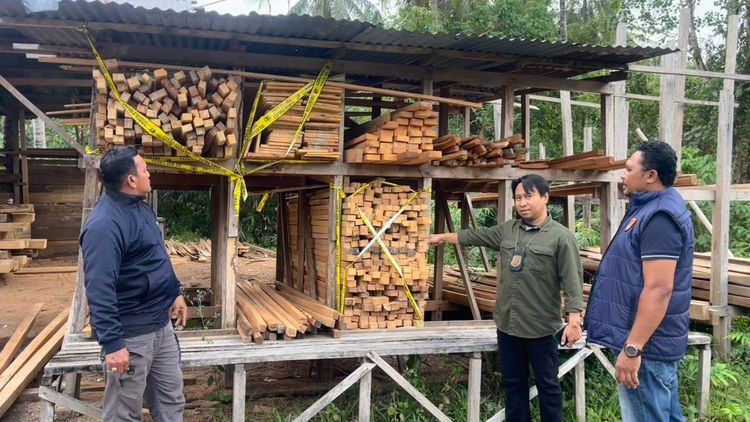 Kemenhut Serahkan Berkas Tersangka Peredaran Kayu Ilegal ke Kejati Maluku