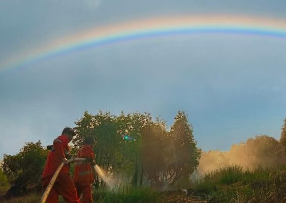 Hotspot Karhutla Turun di Empat Provinsi, Sumsel Masih Tertinggi