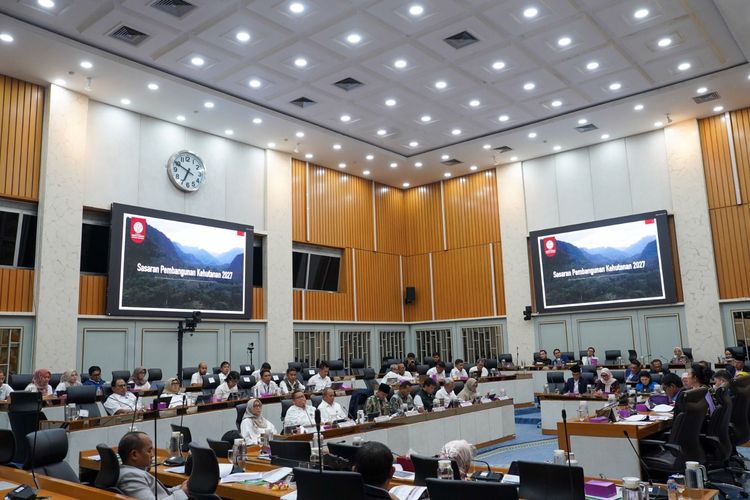 Kemenhut Dapat Tambahan Anggaran Rp4,68 Triliun, Karhutla Jadi Salah Satu Prioritas