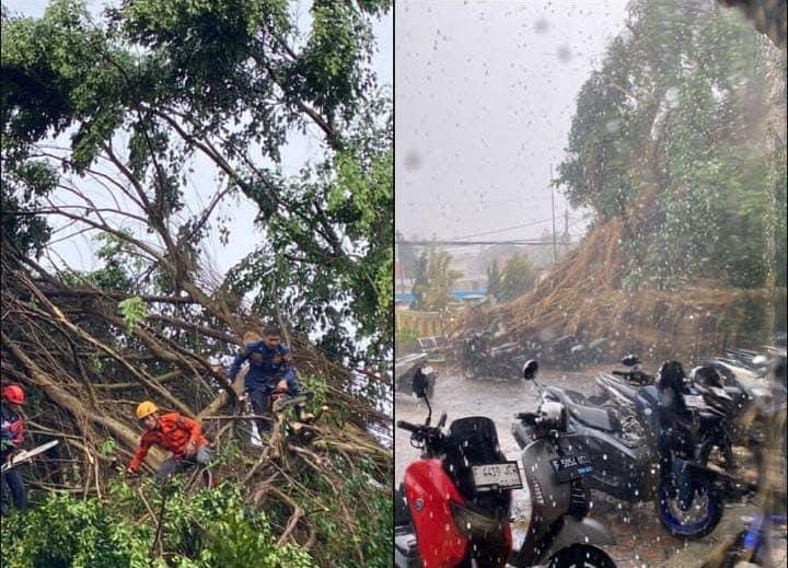 Hujan Deras dan Angin Kencang Terjang Cicurug, Pohon Beringin Tumbang Timpa Kendaraan