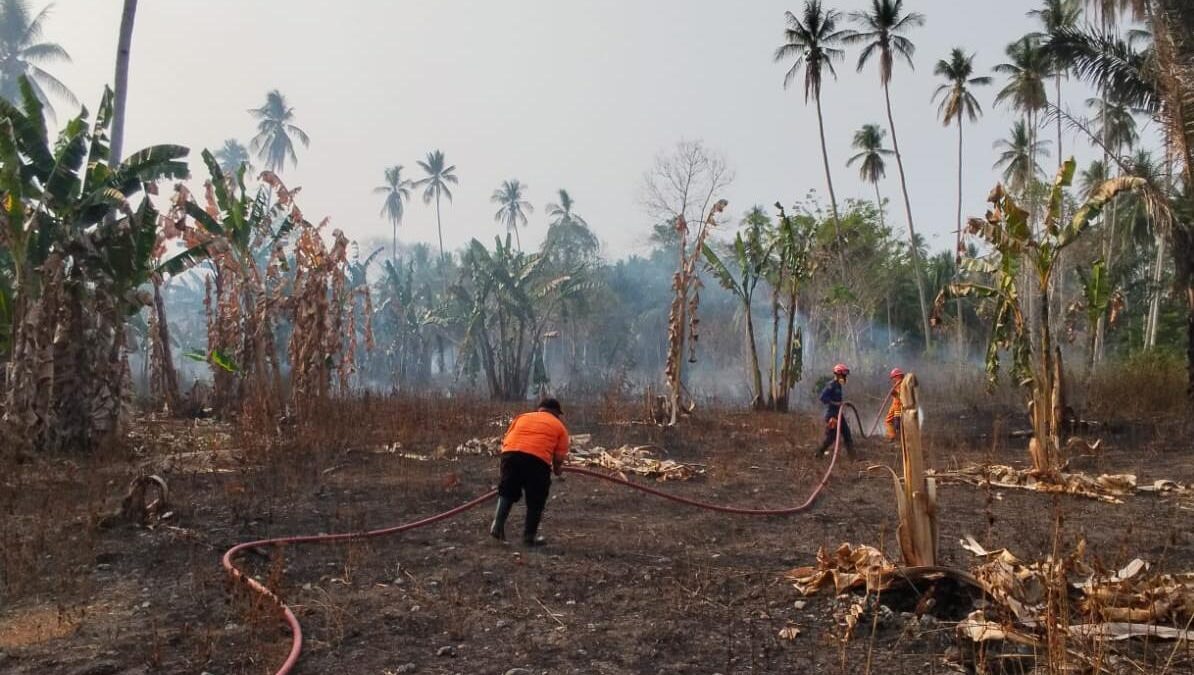 Karhutla Terjadi di Tiga Provinsi, Belasan Titik Lahan Terbakar?