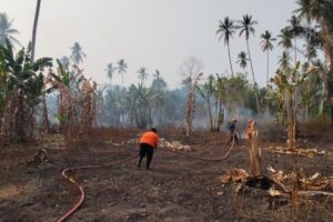 Karhutla Terjadi di Tiga Provinsi, Belasan Titik Lahan Terbakar?