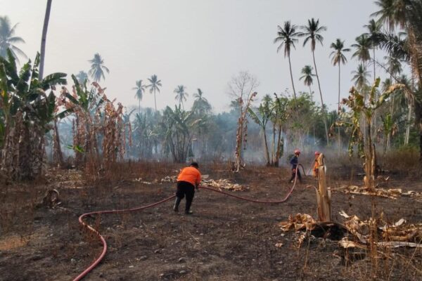 Karhutla Terjadi di Tiga Provinsi, Belasan Titik Lahan Terbakar?
